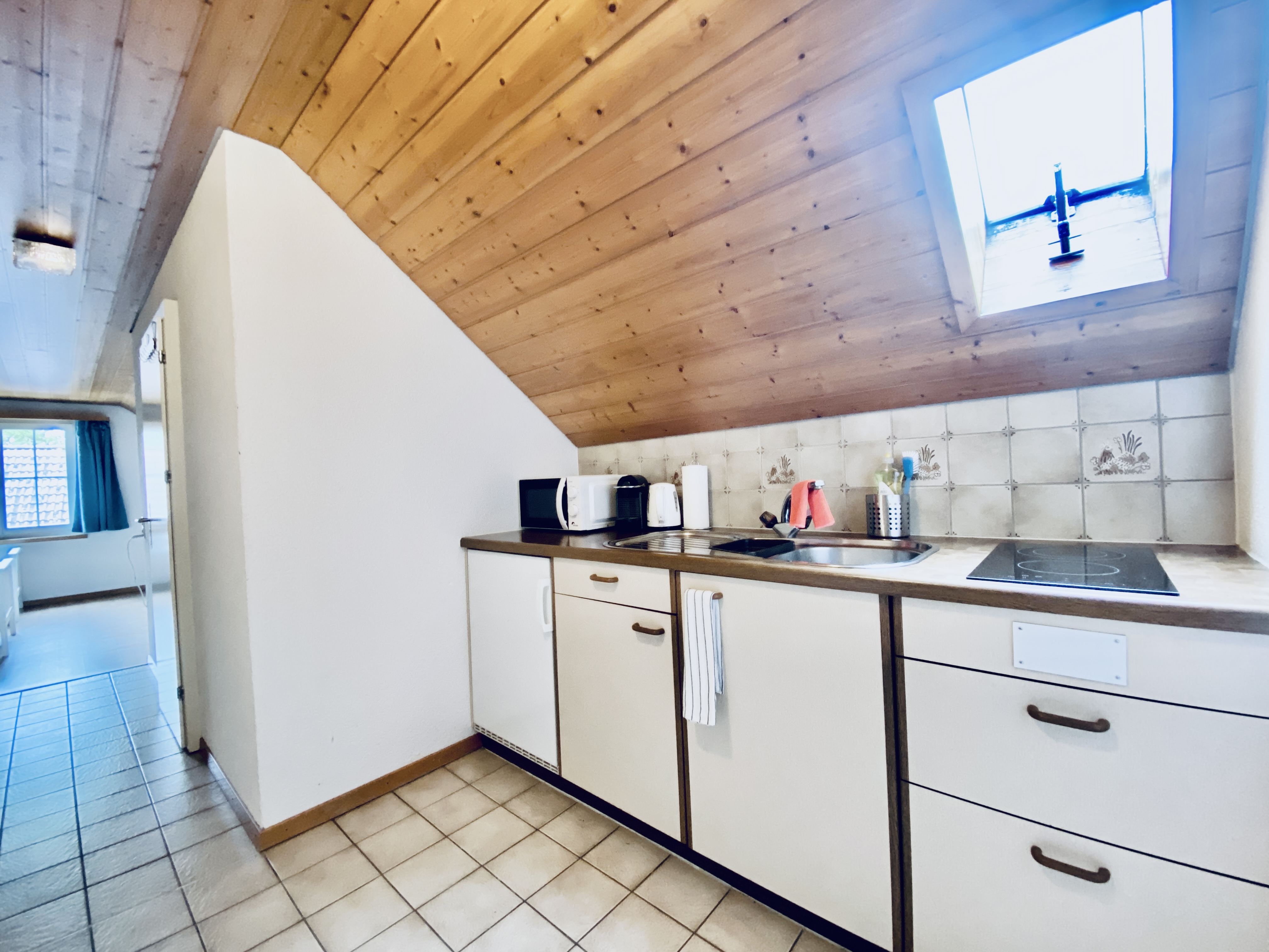 1.5-Zimmer-Apartment in Günsberg, Wohnraum unter dem Dach