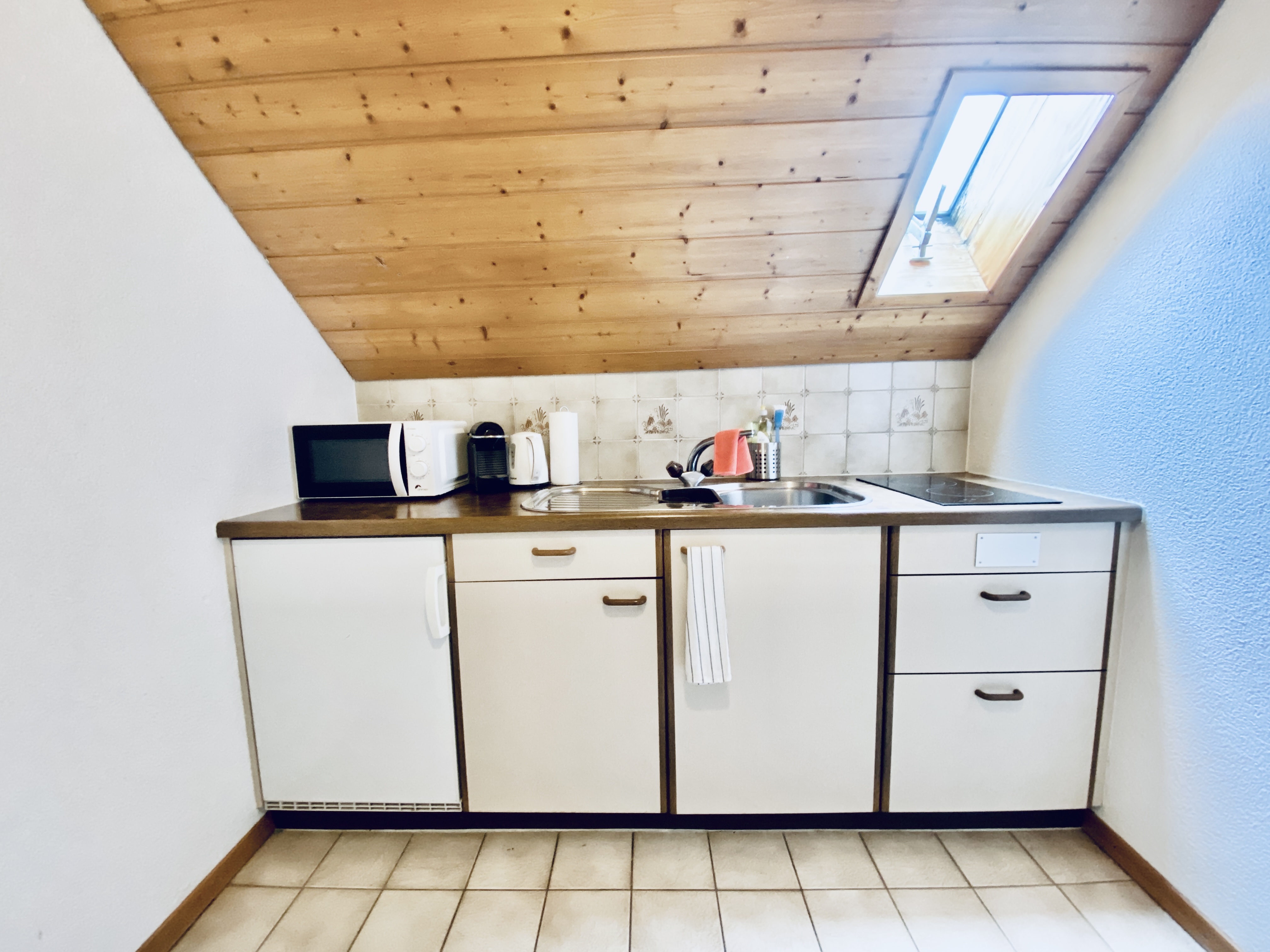 1.5-Zimmer-Apartment in Günsberg, Badezimmer mit Dusche