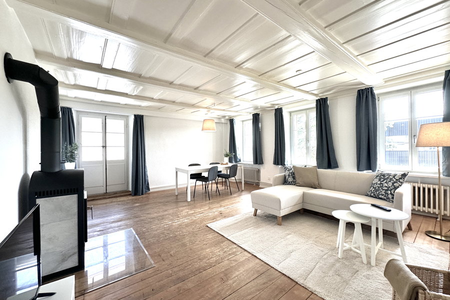 Wohnzimmer im Business Apartment Oberbipp
